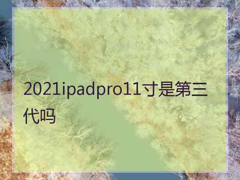 2021ipadpro11寸是第三代吗