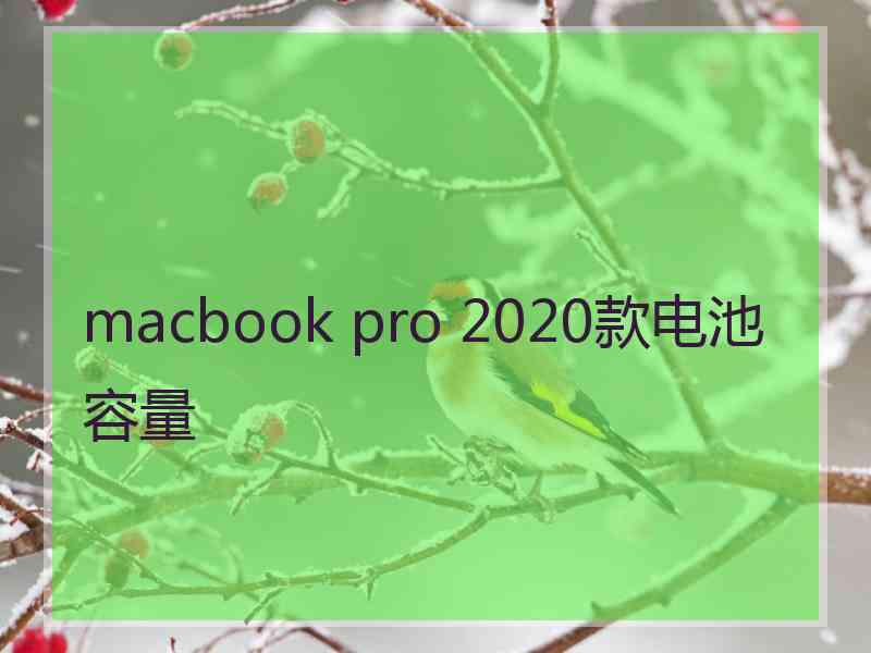 macbook pro 2020款电池容量