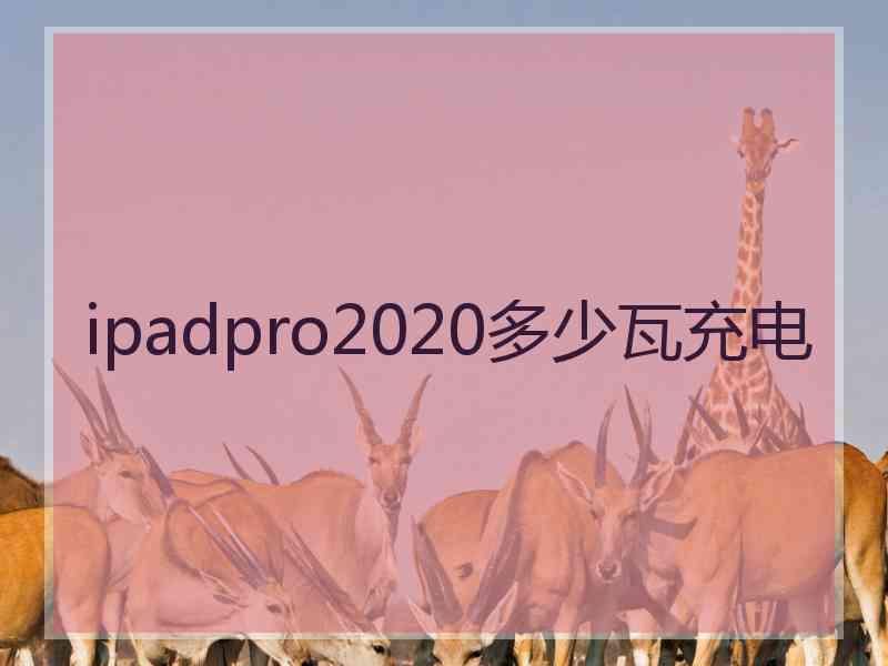 ipadpro2020多少瓦充电