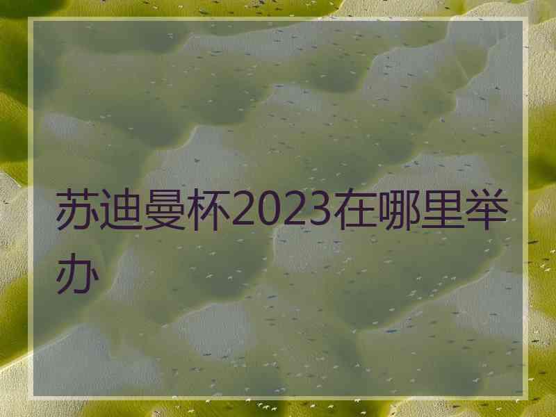 苏迪曼杯2023在哪里举办