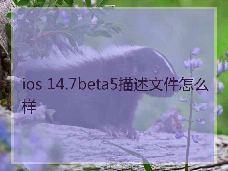 ios 14.7beta5描述文件怎么样