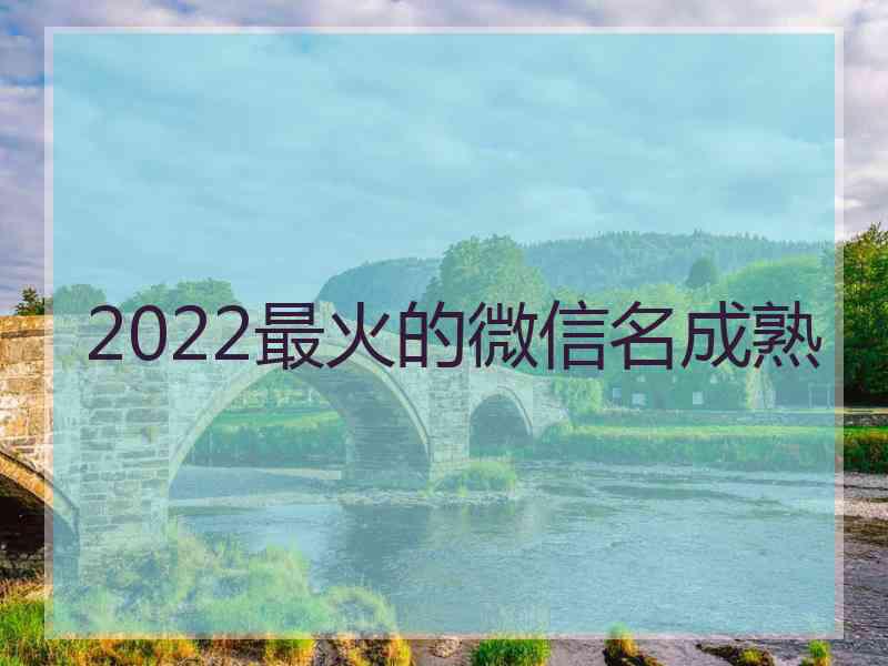 2022最火的微信名成熟