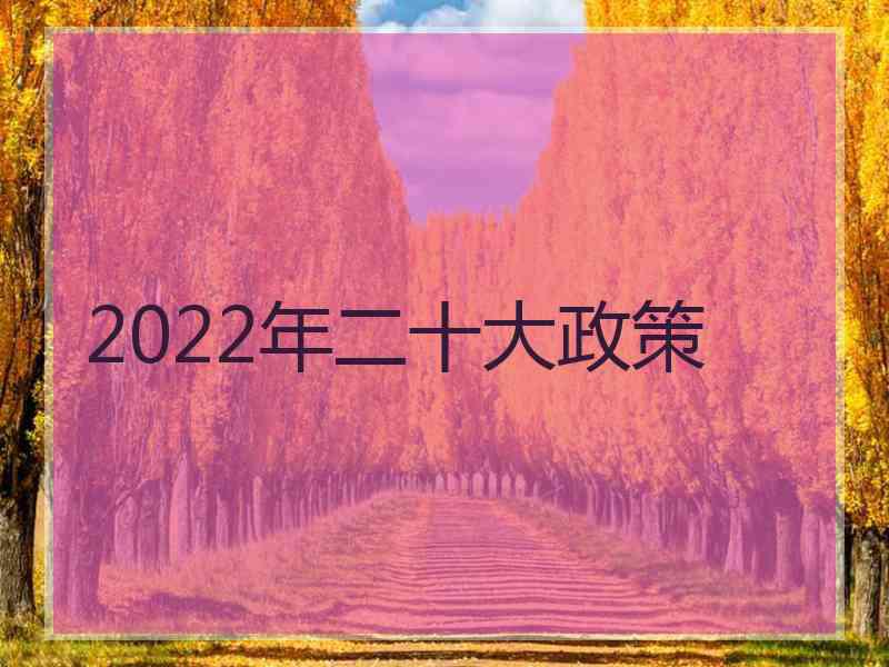 2022年二十大政策