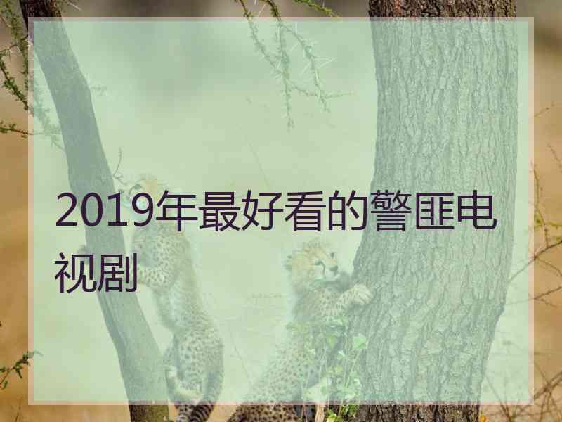 2019年最好看的警匪电视剧