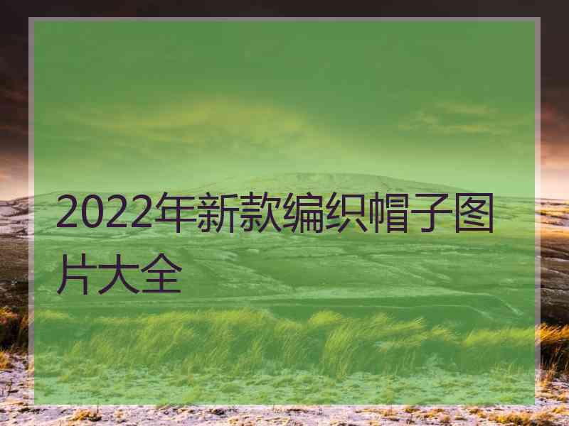 2022年新款编织帽子图片大全