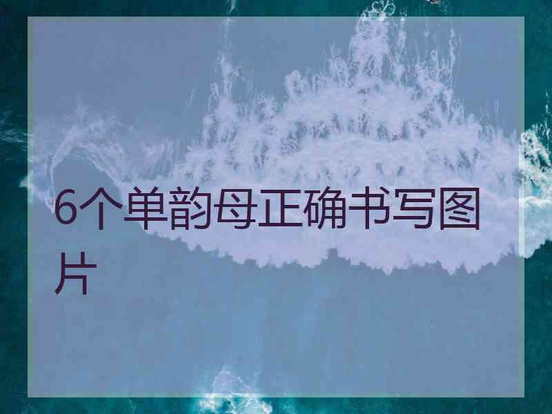 6个单韵母正确书写图片