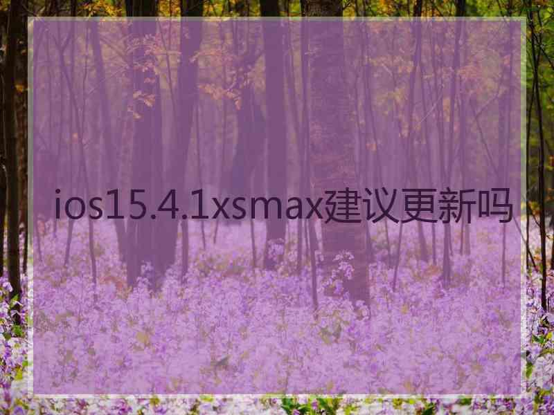 ios15.4.1xsmax建议更新吗