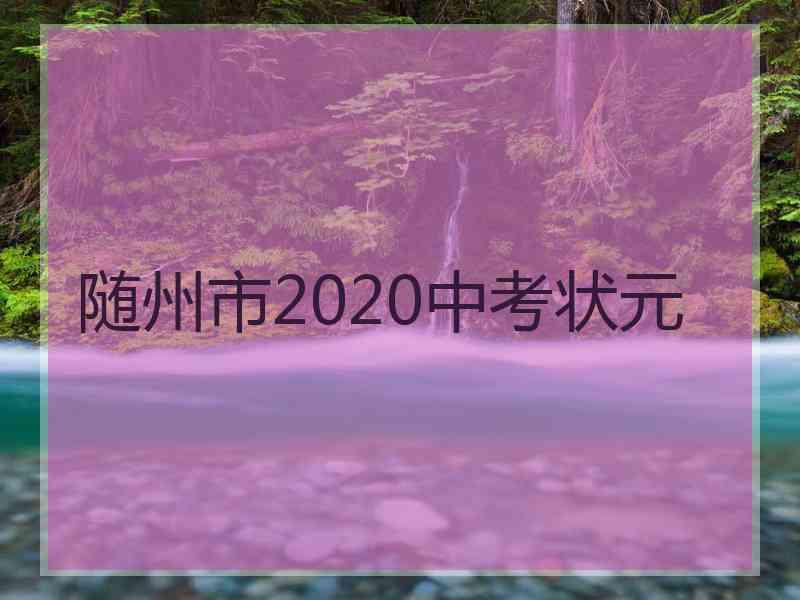 随州市2020中考状元