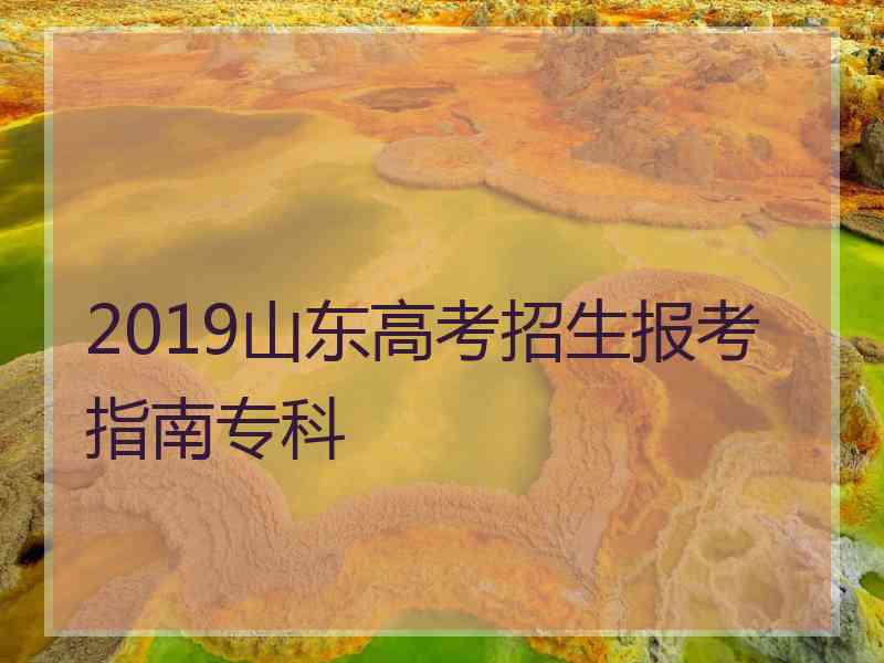 2019山东高考招生报考指南专科