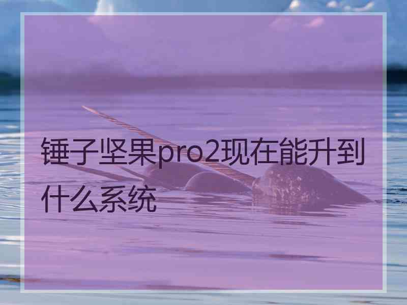 锤子坚果pro2现在能升到什么系统