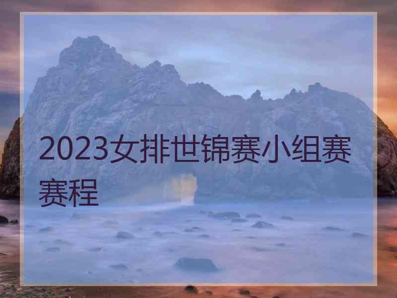 2023女排世锦赛小组赛赛程