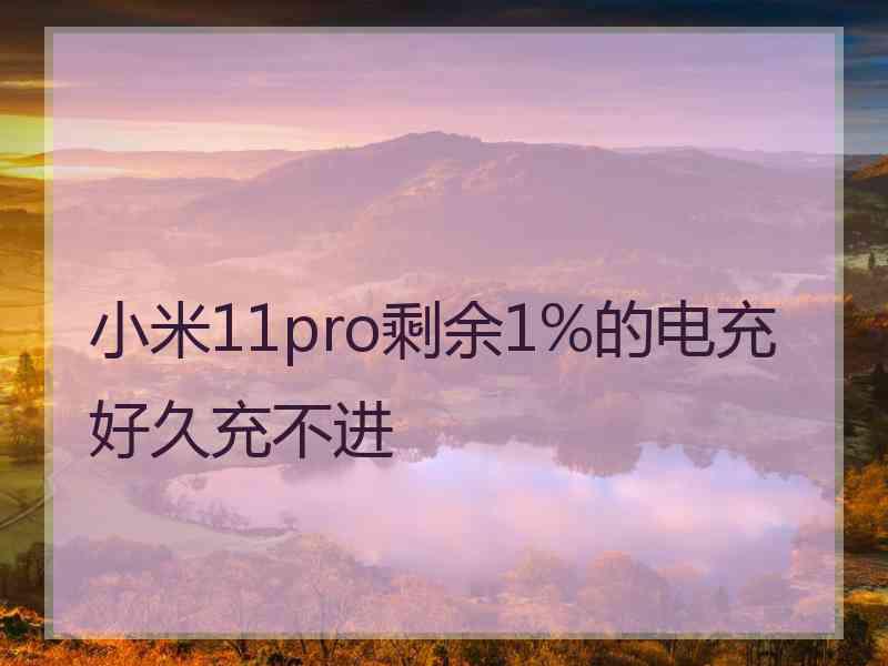 小米11pro剩余1%的电充好久充不进