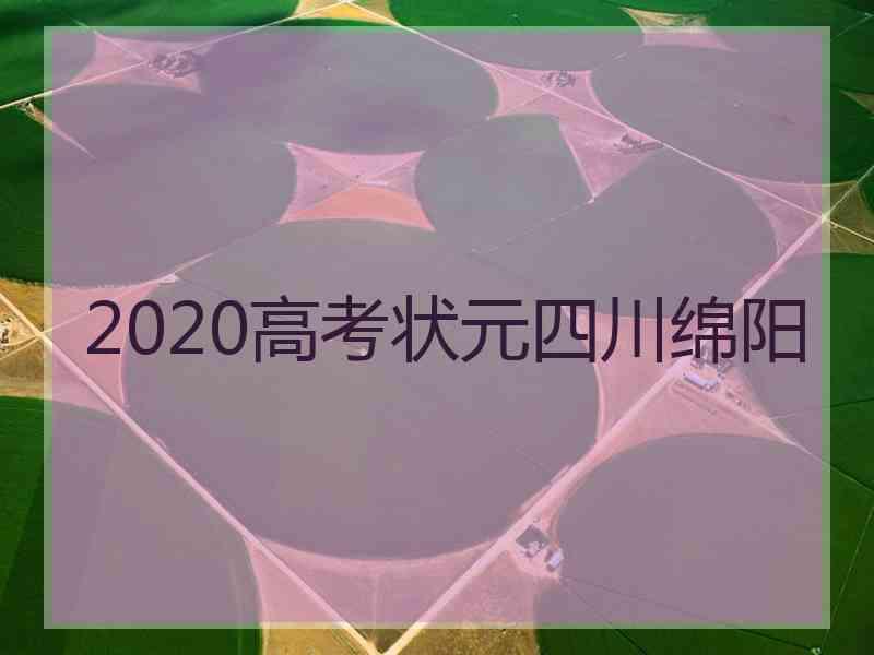 2020高考状元四川绵阳