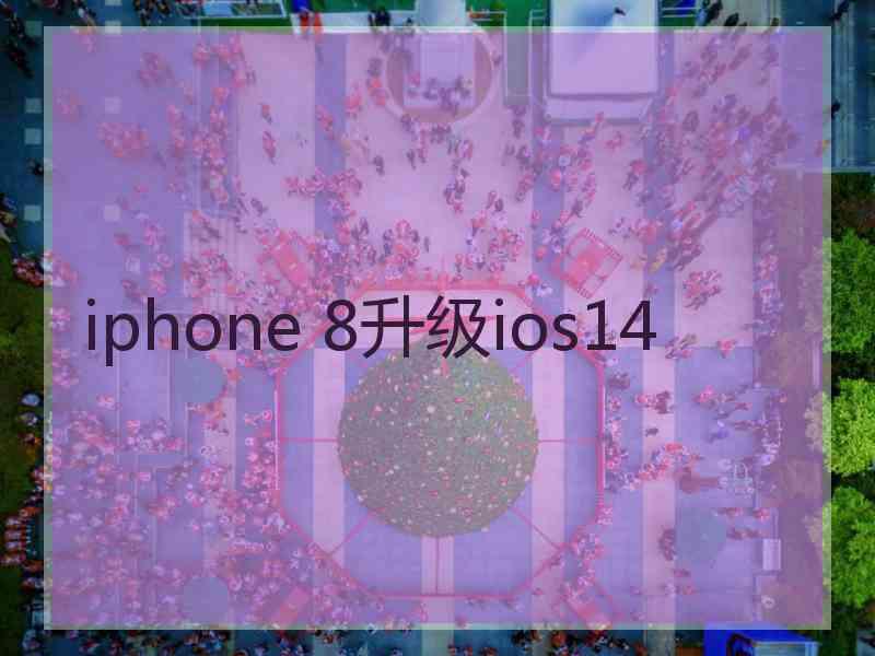 iphone 8升级ios14