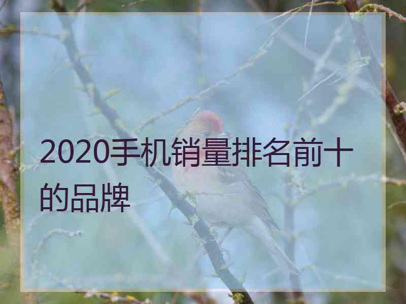 2020手机销量排名前十的品牌