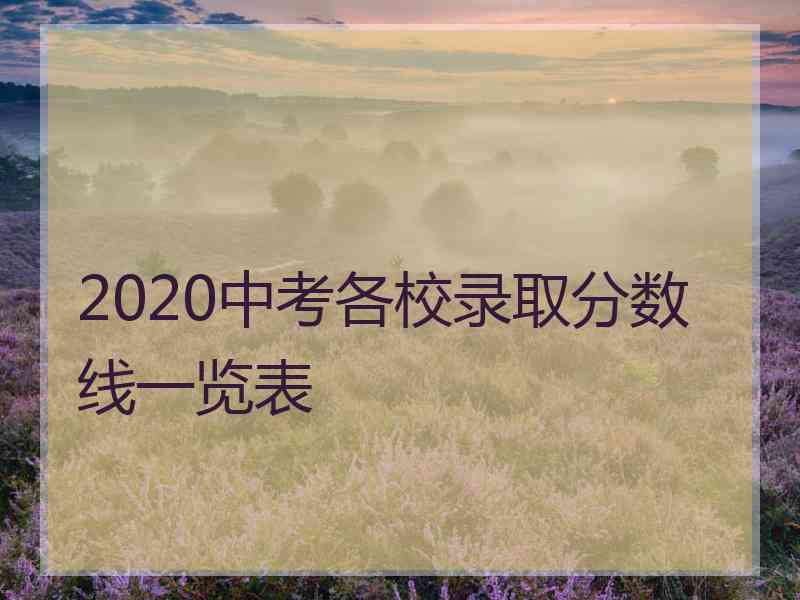 2020中考各校录取分数线一览表