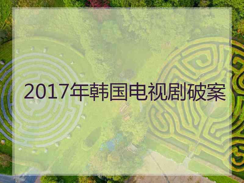 2017年韩国电视剧破案