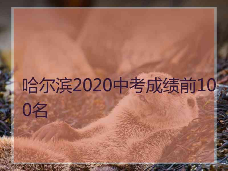 哈尔滨2020中考成绩前100名