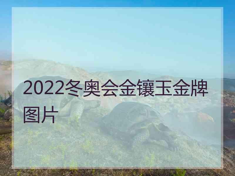 2022冬奥会金镶玉金牌图片