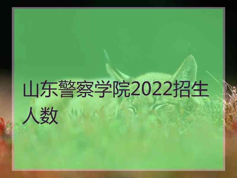 山东警察学院2022招生人数