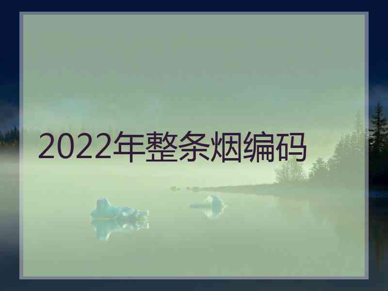 2022年整条烟编码