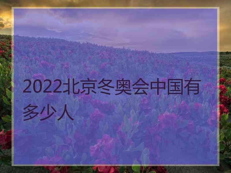 2022北京冬奥会中国有多少人