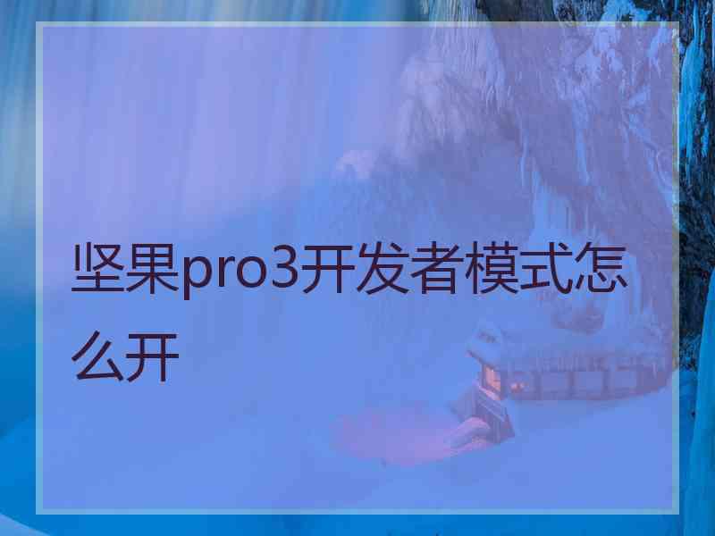 坚果pro3开发者模式怎么开