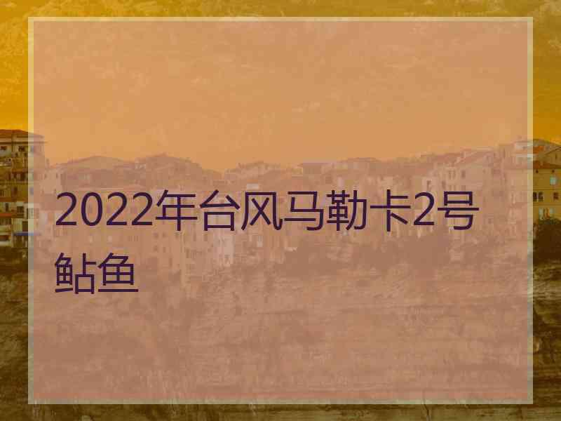 2022年台风马勒卡2号鲇鱼