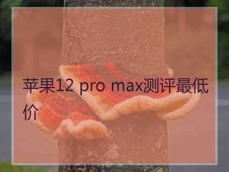 苹果12 pro max测评最低价