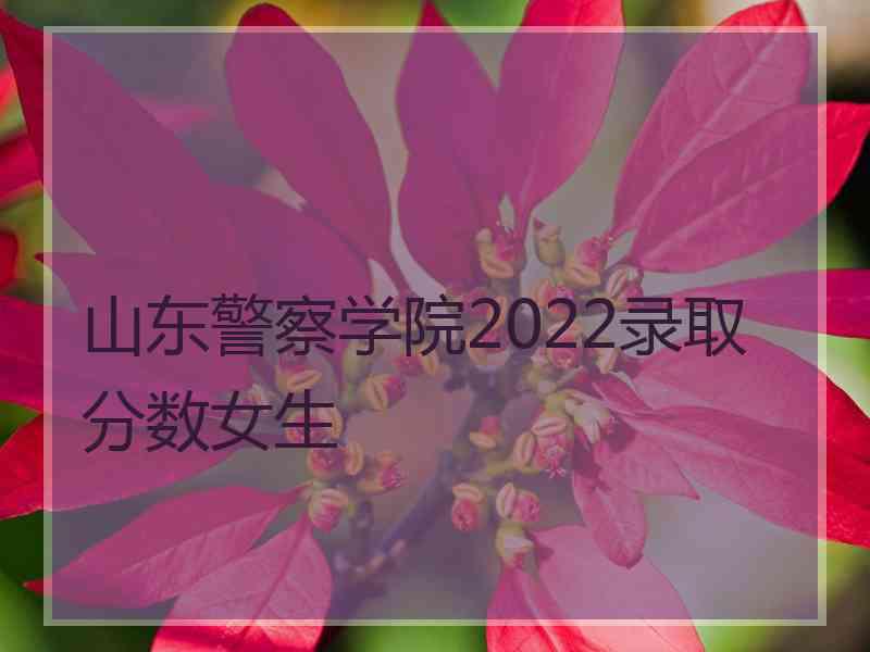 山东警察学院2022录取分数女生