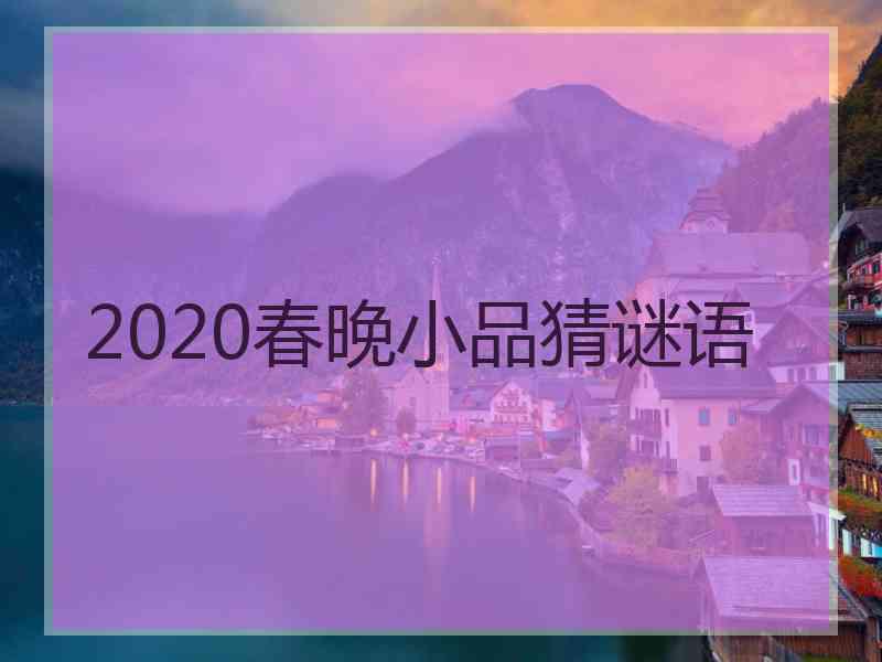 2020春晚小品猜谜语