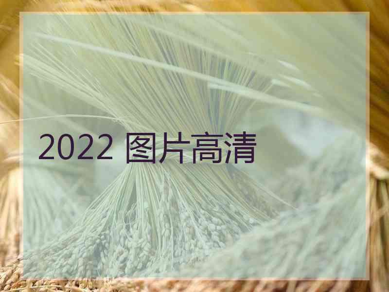 2022 图片高清