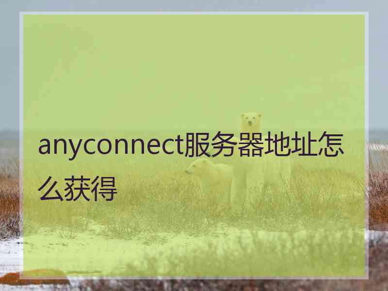 anyconnect服务器地址怎么获得