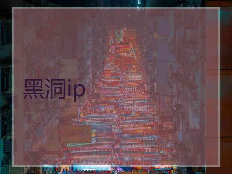 黑洞ip