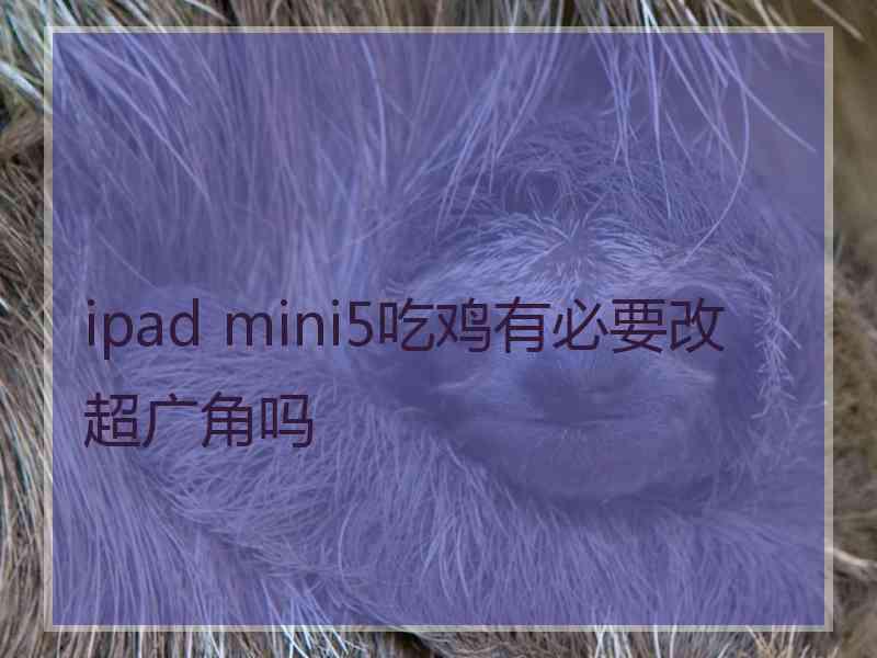 ipad mini5吃鸡有必要改超广角吗