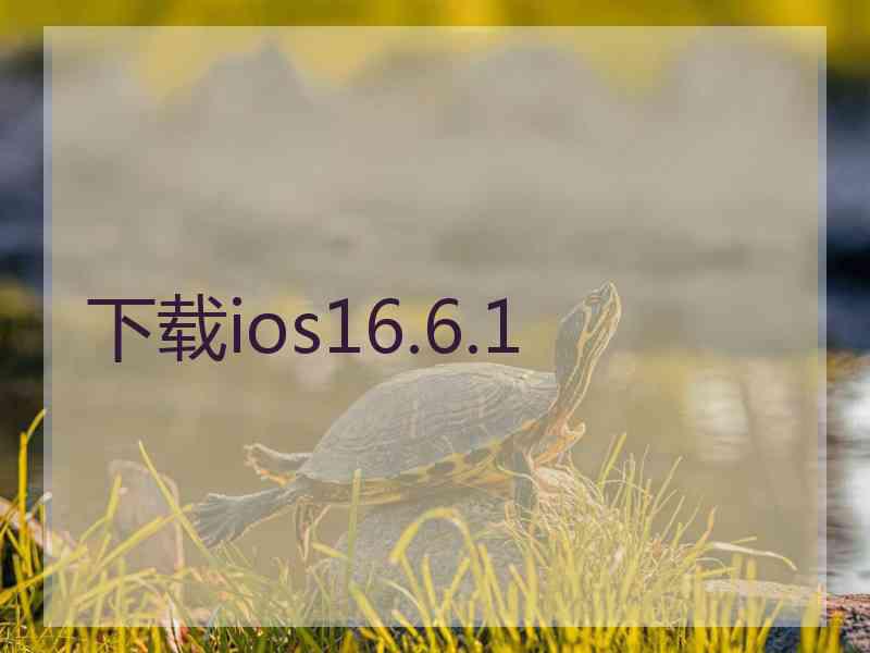 下载ios16.6.1