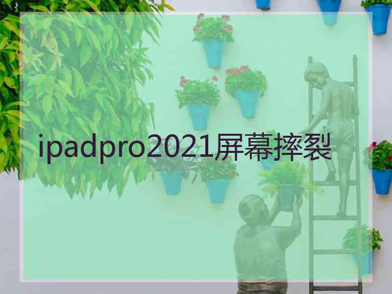 ipadpro2021屏幕摔裂