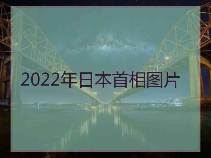 2022年日本首相图片