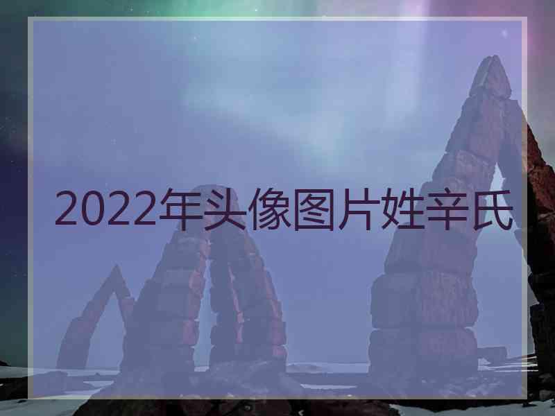 2022年头像图片姓辛氏