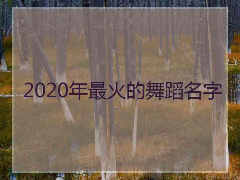 2020年最火的舞蹈名字