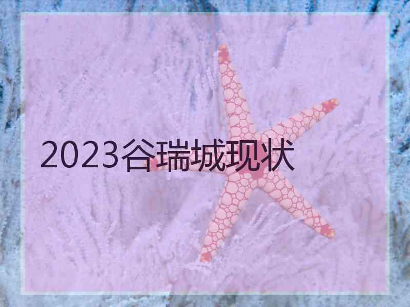 2023谷瑞城现状