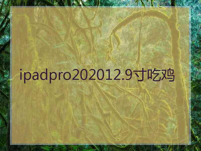 ipadpro202012.9寸吃鸡