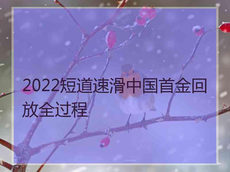 2022短道速滑中国首金回放全过程