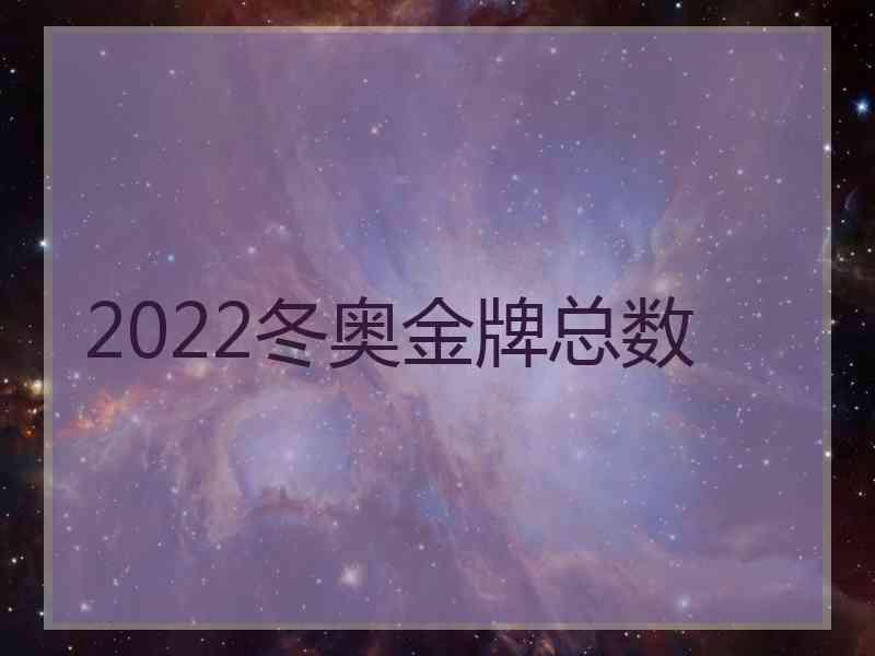 2022冬奥金牌总数