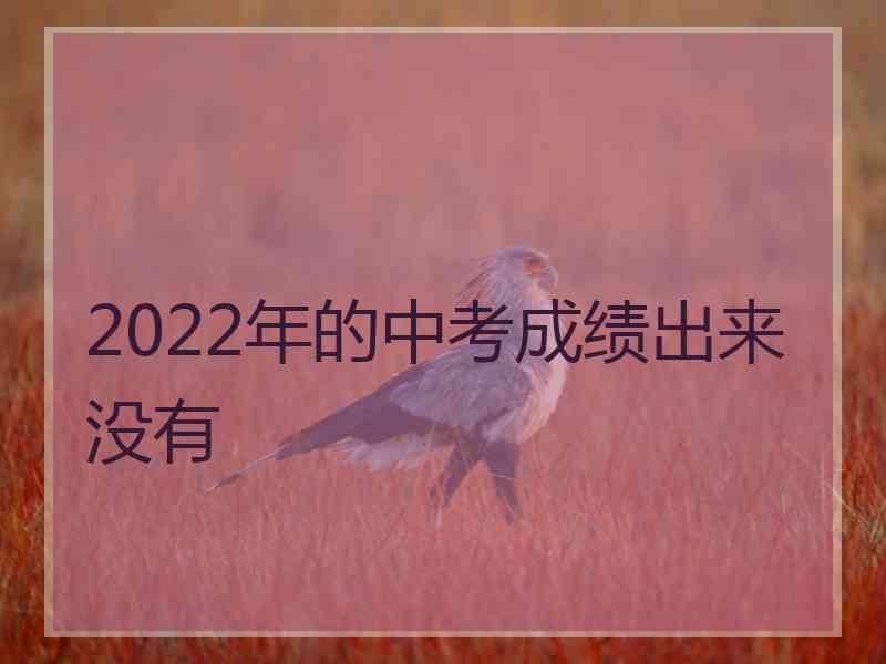 2022年的中考成绩出来没有