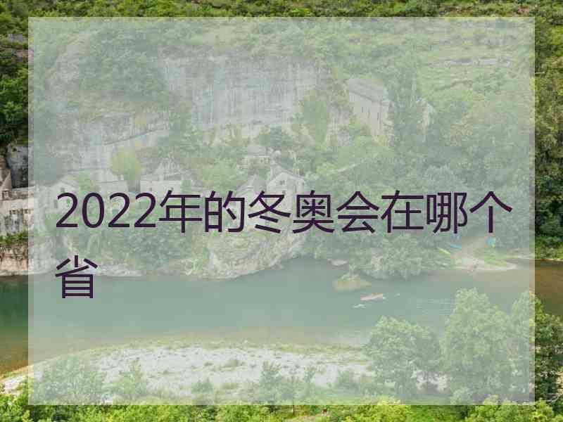 2022年的冬奥会在哪个省