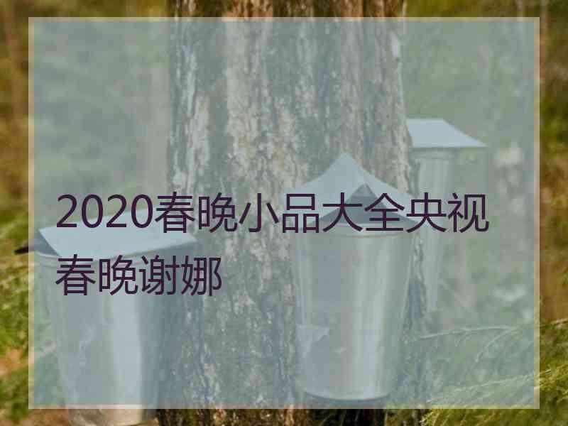 2020春晚小品大全央视春晚谢娜