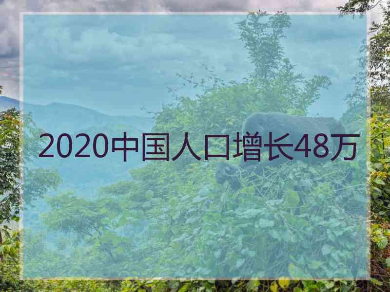 2020中国人口增长48万