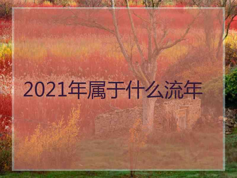 2021年属于什么流年