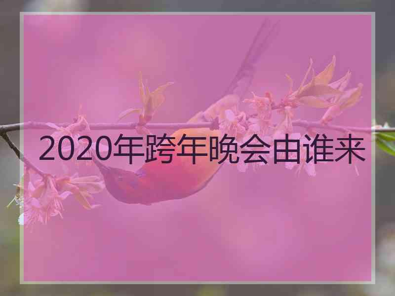 2020年跨年晚会由谁来